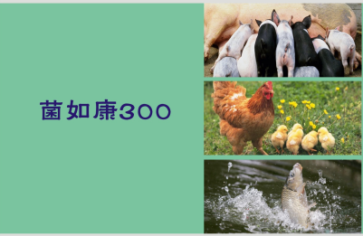 菌如康300