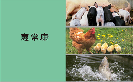 惠常康
